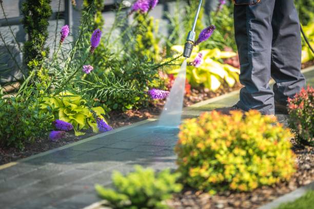 Best Driveway Pressure Washing  in Brentwood, TN